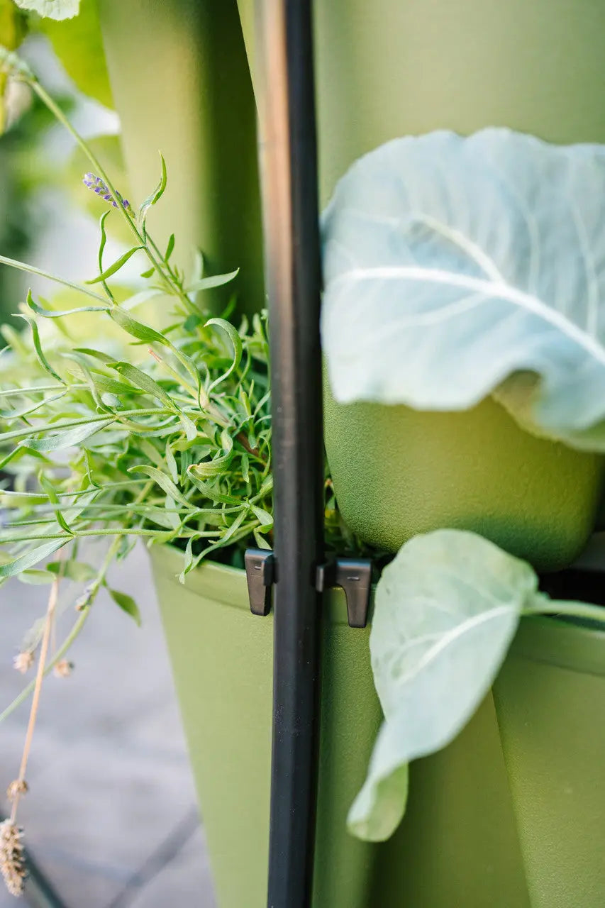 人気を誇る GreenStalk Evergreen Answer Garden – System Watering 花瓶・フラワースタンド