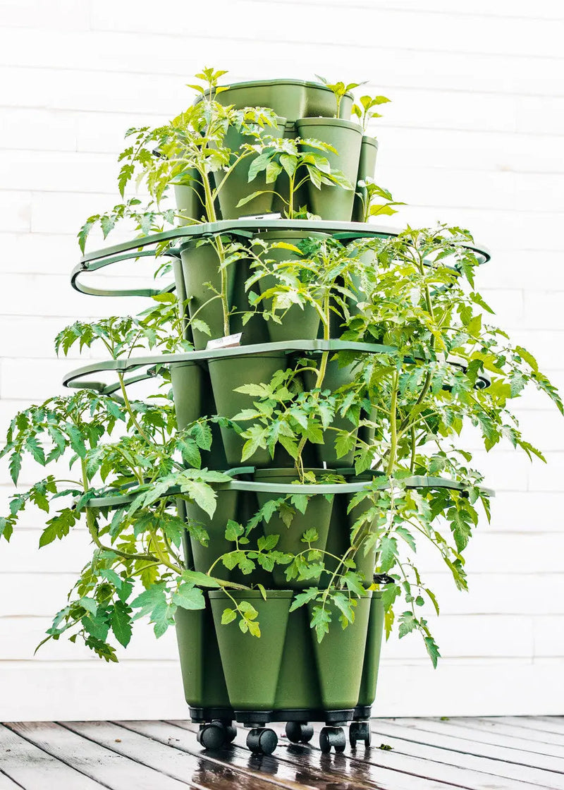 GreenStalk Plant Supports (Set of 3)