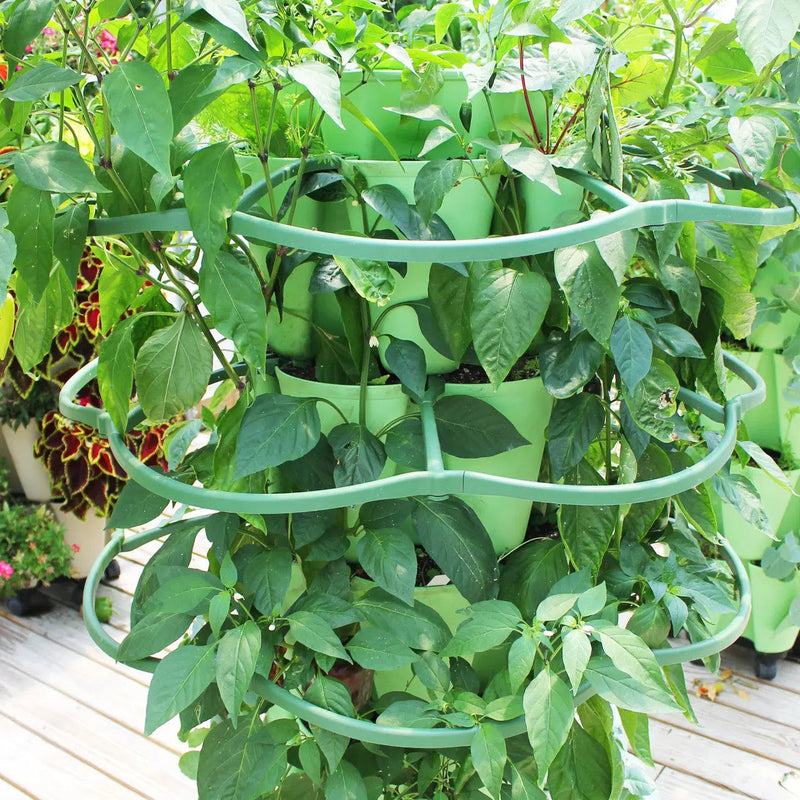 GreenStalk Plant Supports (Set of 3)