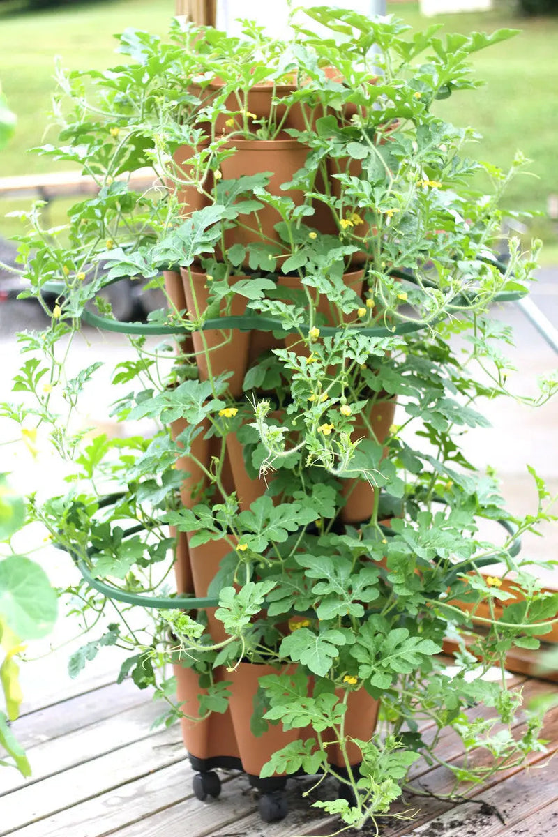 GreenStalk Plant Supports (Set of 3)